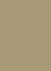 466-Light-Moka