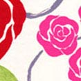 Kings Estampado 929-12