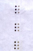Bosco 3