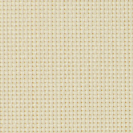 Corti3000-0808lino