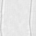 Cosmos1blanco