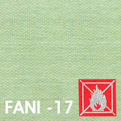 Fani 17