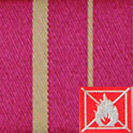 Fosc 10 Rayas Fucsia-Oro