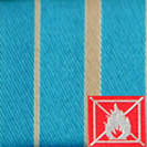 Fosc 6 Rayas Turquesa-Oro