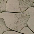 Textura-Hojas-Lux