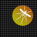 Mosquitera Cortinadecor
