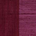 Paola-12morado