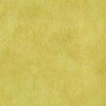 Piel-Crema-Gi