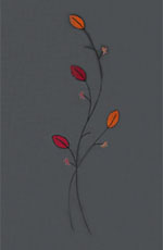 Screen-pasiongris