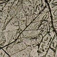 Textura-Textura-Lux