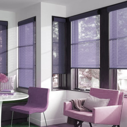Screen Colors Roller Blinds