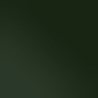 Verde Oscuro RAL 6009