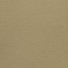 Color Beige